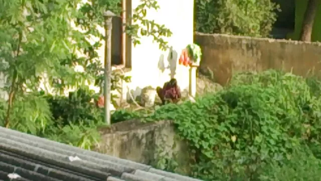 एमआईएलए सेक्स doggystyle सेक्स वीडियो मूवी एचडी फुल और बिल्ली में सह