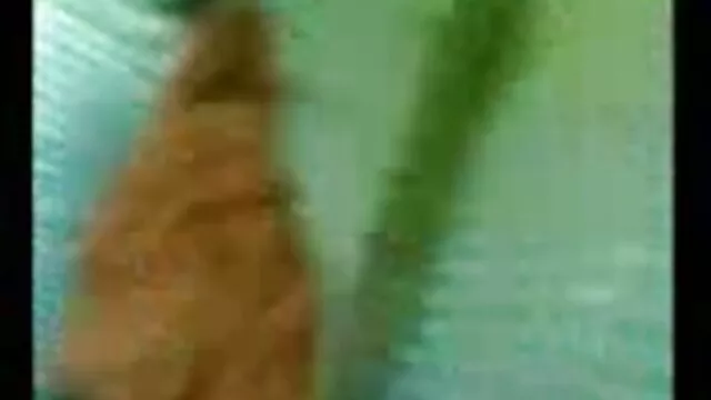 गोरा फुल सेक्सी वीडियो फिल्म उसे बिल्ली पूल के साथ खेलता है