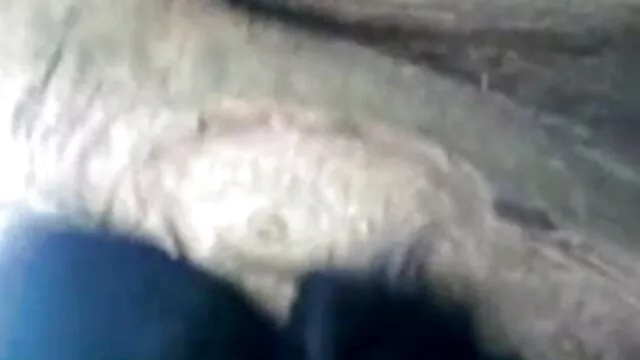 ब्रा हिंदी सेक्सी मूवी एचडी फुल बस्टर सीडी 1