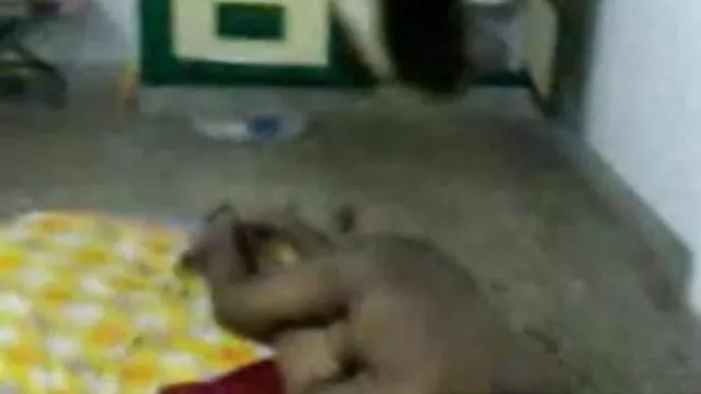 लिली रोमा हिंदी सेक्सी फुल मूवी वीडियो 13-05-2014