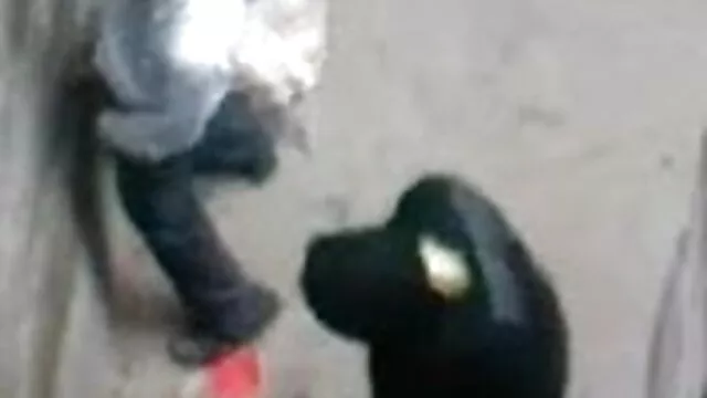 अमेरिकी क्लासिक सेक्सी मूवी फुल मूवी