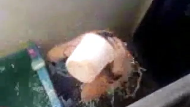 रिकॉपिलासीजन कॉरीडास फुल हिंदी सेक्सी मूवी