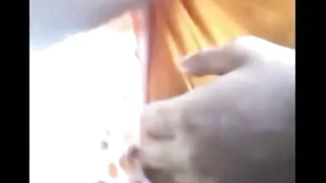 परिपक्व फुल सेक्सी वीडियो फिल्म जोड़ी