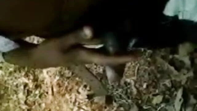 ब्लौंडी स्पर्मा सेक्सी मूवी एचडी फुल तौफे