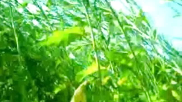 VIBRATOR फुल सेक्सी मूवी भोजपुरी मुझे SQUIRT बनाता है