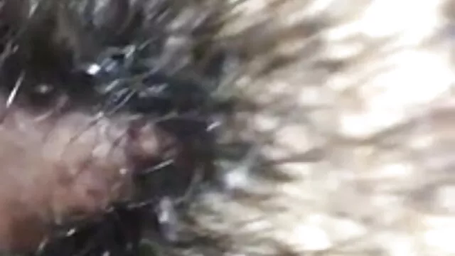 कास्टिंग कैरोल 29 ए राजस्थानी सेक्सी फुल मूवी एस एक श्यामला को रौशन करती है