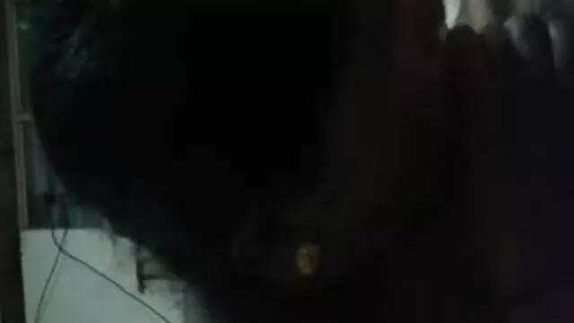 नोज़ोमी नग्न स्ट्रिप्स और इंग्लिश सेक्सी फिल्म फुल एक एशियाई blowjob देता है