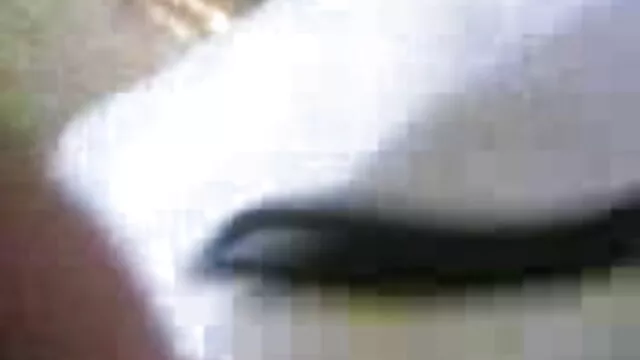 सैंड्रा गैंगबैंग और सनी लियोन की सेक्सी वीडियो फुल मूवी डीएपी