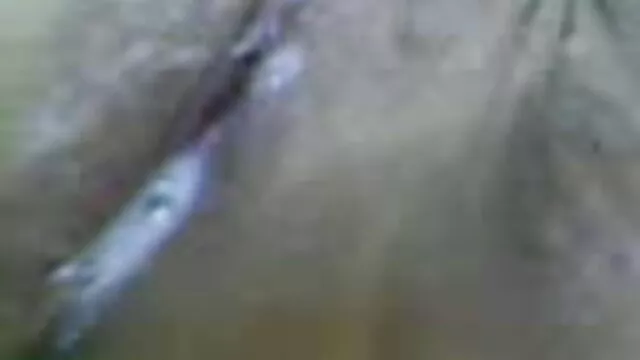 सेक्स सेक्सी मूवी बीएफ फुल एचडी समुद्री डाकू